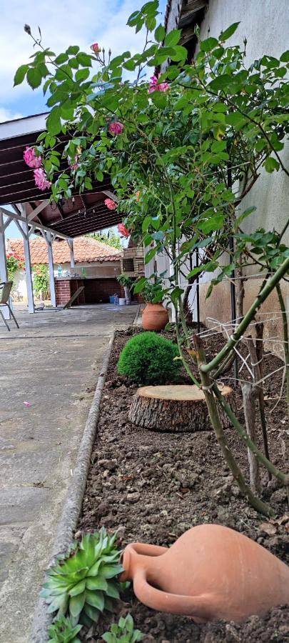 ביאלה Guest House Palazzo מראה חיצוני תמונה