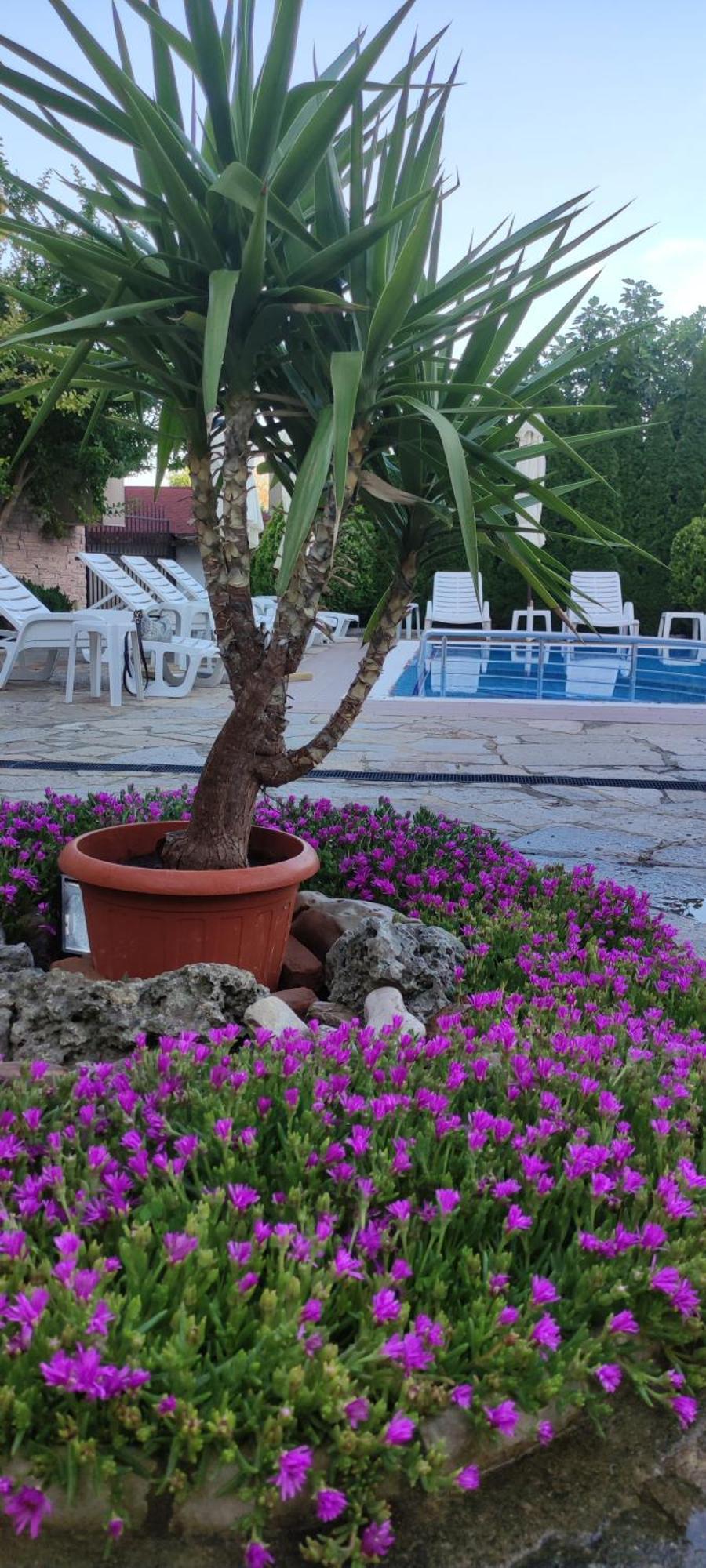 ביאלה Guest House Palazzo מראה חיצוני תמונה